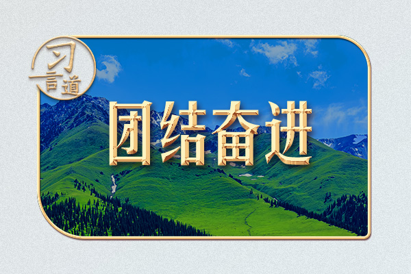 习言道｜石榴籽，习近平为何一再强调